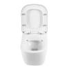 Унитаз подвесной BelBagno Albano BB120CHR/BB120SC безободковый, сиденье микролфит фото 6