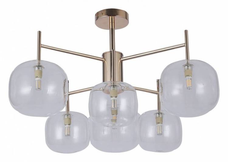 Потолочная люстра F-Promo Beaker 2976-6P