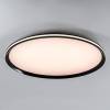 Потолочный светильник LED4U L3020-600 BK фото 7
