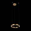 Подвесной светодиодный светильник Loft IT Ring 10013S фото 5