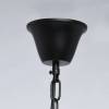 Подвесной светильник MW-Light Гослар 498015103 фото 10
