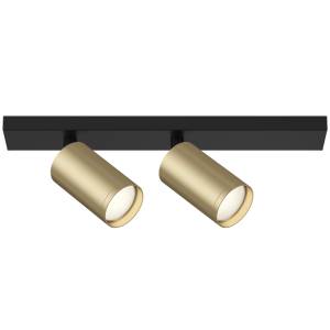 Потолочный светильник Technical Ceiling C051CL-02BMG