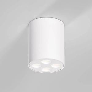 Потолочный светодиодный светильник Elektrostandard Points 25111/LED 7W 4000K белый