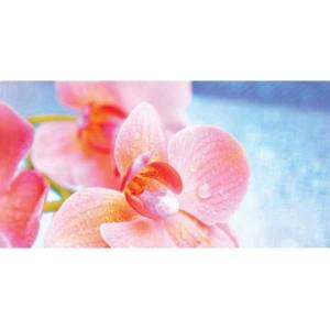 Декор Belleza Chloe А многоцветный стеклянный 25x50