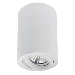 Светильник потолочный Arte Lamp Sentry A1566PL-1WH