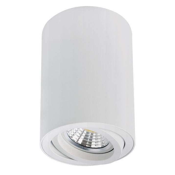 Светильник потолочный Arte Lamp Sentry A1566PL-1WH