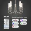 Подвесная люстра Eurosvet Banci 60117/5 никель Smart фото 3