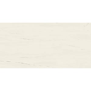 Керамогранит Atlas Concorde Marvel Stone A21K Bianco Dolomite Lappato 60x120