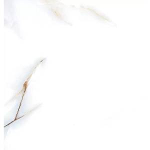 Керамогранит A-Ceramica Barcelon Polished 60x60