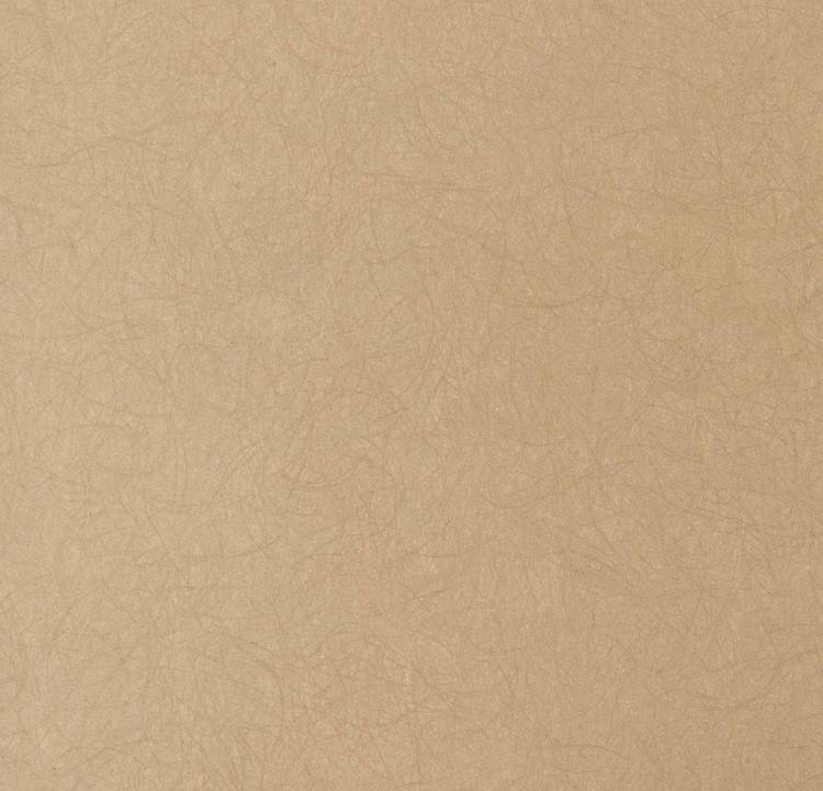 Обои флизелиновые Bernardo Bartalucci Legend 5068-82