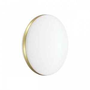 Настенно-потолочный светодиодный светильник Sonex Pale 7626/CL