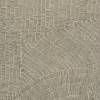 Керамогранит Refin Fossil LT85 Beige Rett 60x60 фото 2