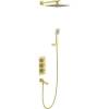 Душевой комплект Timo Tetra-thermo SX-0199/17SM золотой, с термостатом, с внутренней частью