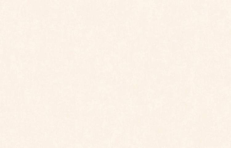 Обои Artsimple Valley ARTS13 101/2