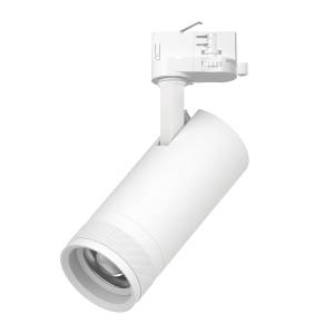 Трековый светодиодный светильник Lightstar Canno Pro C4206QT