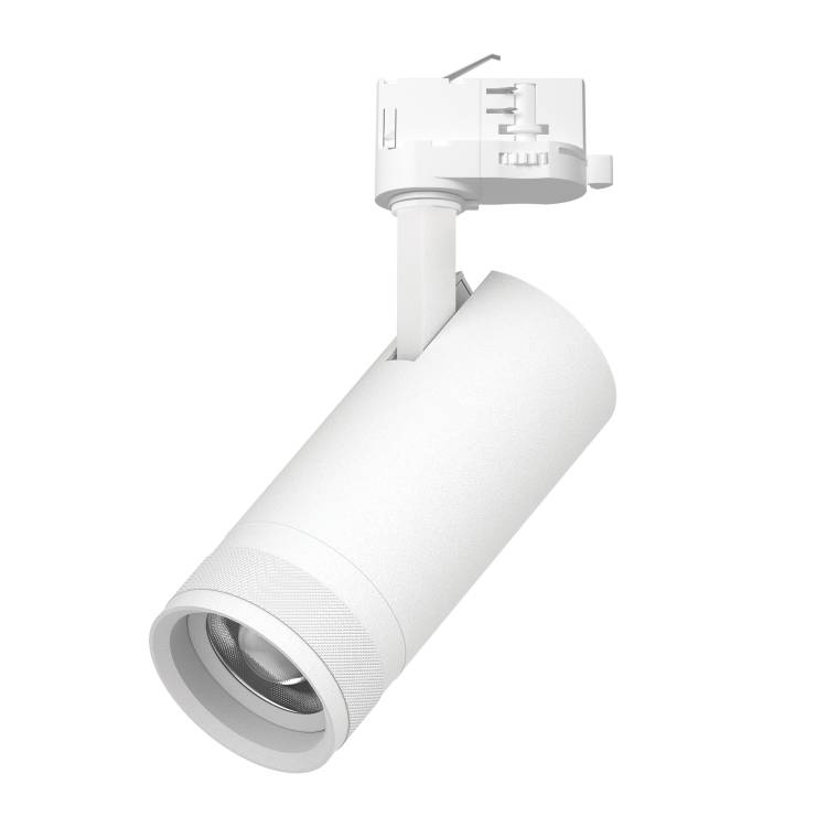 Трековый светодиодный светильник Lightstar Canno Pro C4206QT