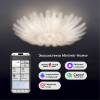 Потолочная люстра Eurosvet Flowers 101015/10 латунь Smart фото 5