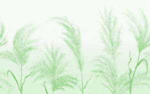 3D Фотообои Artegrafico «Колоски в зелёных тонах» NJ-025 канвас