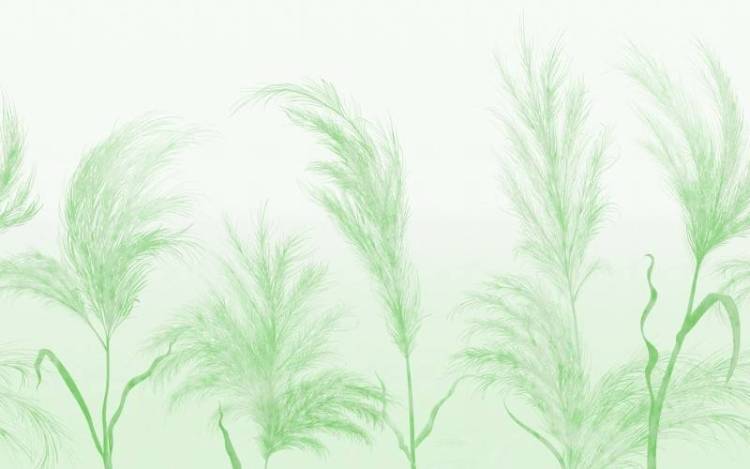 3D Фотообои Artegrafico «Колоски в зелёных тонах» NJ-025 канвас