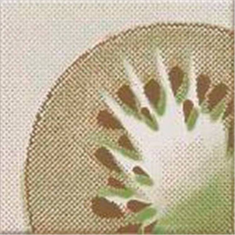 Декор Opoczno Inwencja Kiwi Centro 10x10