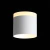 Потолочный светодиодный светильник ST Luce Panaggio ST102.502.09 фото 4