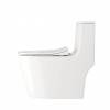 Унитаз-моноблок Teymi Solli T41101 безободковый, с сиденьем микролифт, белый фото 7
