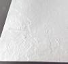Поддон для душа RGW Stone Tray ST-0157W 70х150 с сифоном фото 3