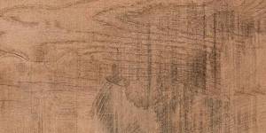 Керамогранит Seranit Vintagewood 26072011 Brown Matt 60x120