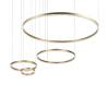 Подвесной светодиодный светильник Loft IT Ring 10017/4S фото 2