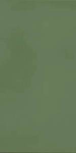 Керамогранит Casalgrande Padana R-Evolution 11720034 Green 9mm 60x120
