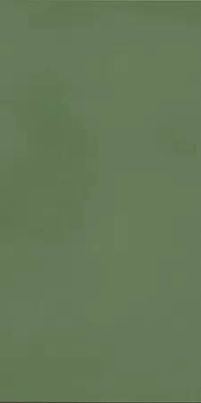 Керамогранит Casalgrande Padana R-Evolution 11720034 Green 9mm 60x120