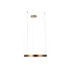 Подвесной светодиодный светильник Loft IT Ring 10013M фото 4