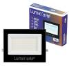 Светодиодный прожектор Wolta Lumin Arte LFL-70W/06 фото 4