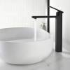 Смеситель для раковины Black&White GF-7203-MB черный матовый фото 4
