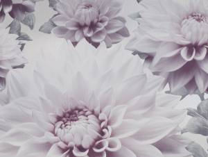 Обои Elysium Лулу 909700