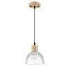 Светильник подвесной Lumion Suspentioni 8055/1A