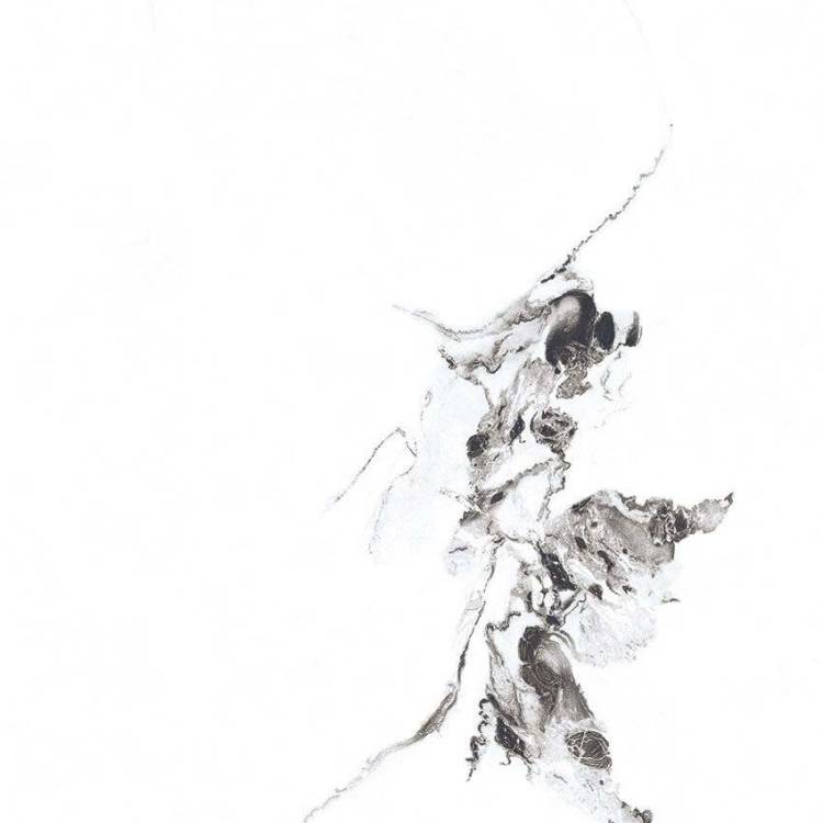 Керамогранит Primavera SR104 Videl Bianco Sugar 60x60