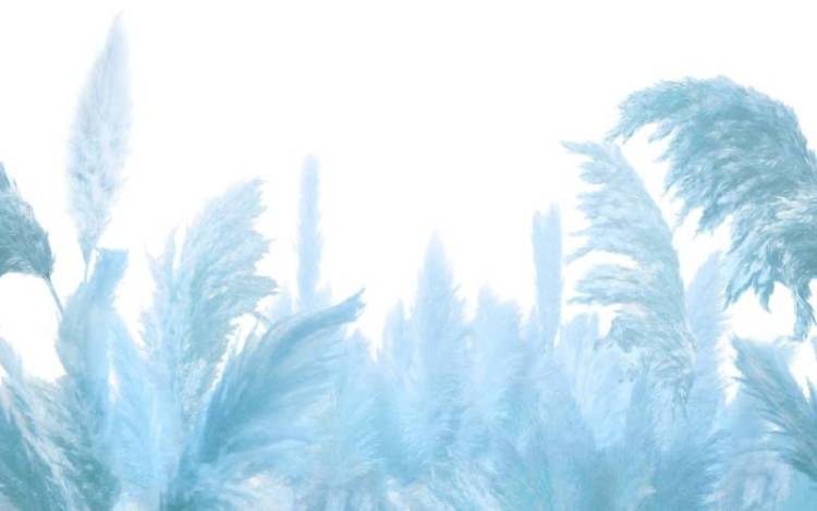 3D Фотообои Artegrafico «Поле колосьев в синих тонах» NJ-018 песок