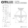 Подвесной светильник Citilux Nort CL475026 фото 5