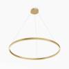 Подвесной светильник Maytoni Modern Rim MOD058PL-L54BSK фото 3