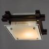 Потолочный светильник Arte Lamp Archimede A6462PL-1CK фото 3