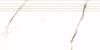 Ступень Kerranova Butik K-2021/MR/st01 Beige 294x600x9