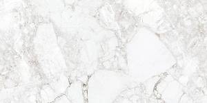 Керамогранит Absolut Gres Rossalia Natural AB 1171G Gloss 1200x600