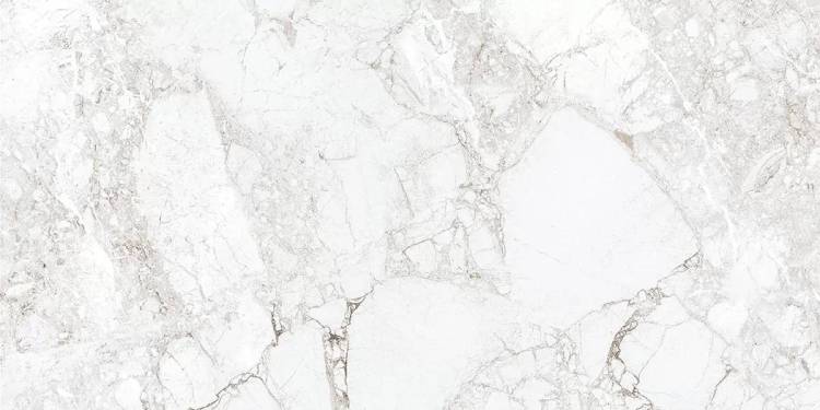 Керамогранит Absolut Gres Rossalia Natural AB 1171G Gloss 1200x600
