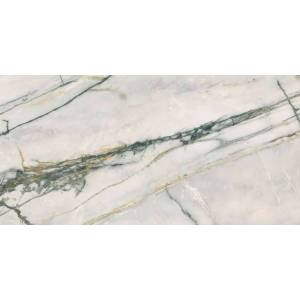 Керамогранит Ariana Epoque 21 PF60009344 Calacatta Bamboo Ant R 60x120