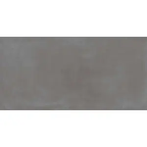 Керамогранит Atlas Concorde Russia Rinascente 610010002641 Smoke / Ринашенте Смок Рет 80x160