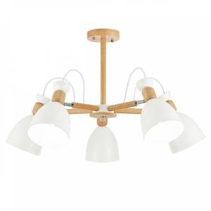 Потолочная люстра Evoluce Balcamo SLE103802-05