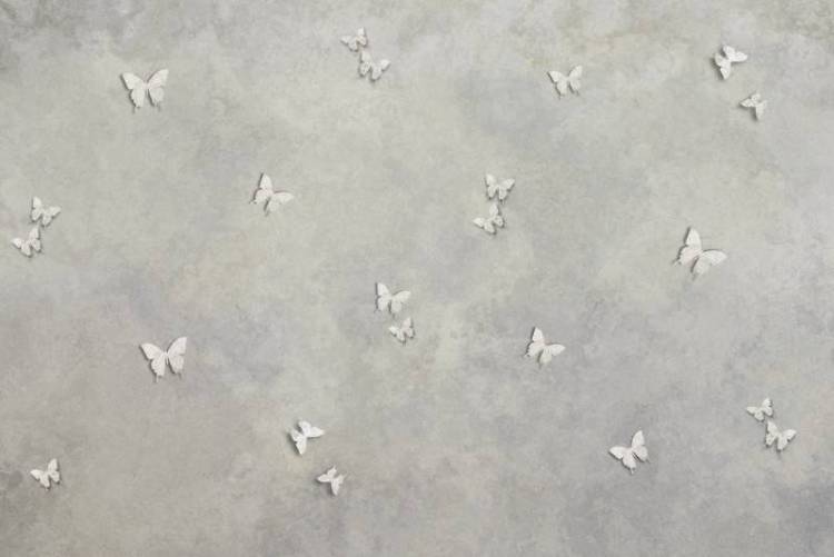 3D Фотообои Artegrafico «Объемные бабочки на стене» VL-010 акварель