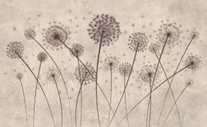 3D Фотообои Artegrafico «Одуванчики на светлой фактуре» PL-041 песок