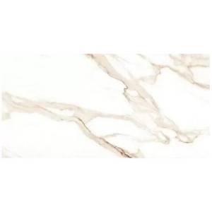 Керамогранит Absolut Gres Ricato Brown AB 1026G Gloss 60x120